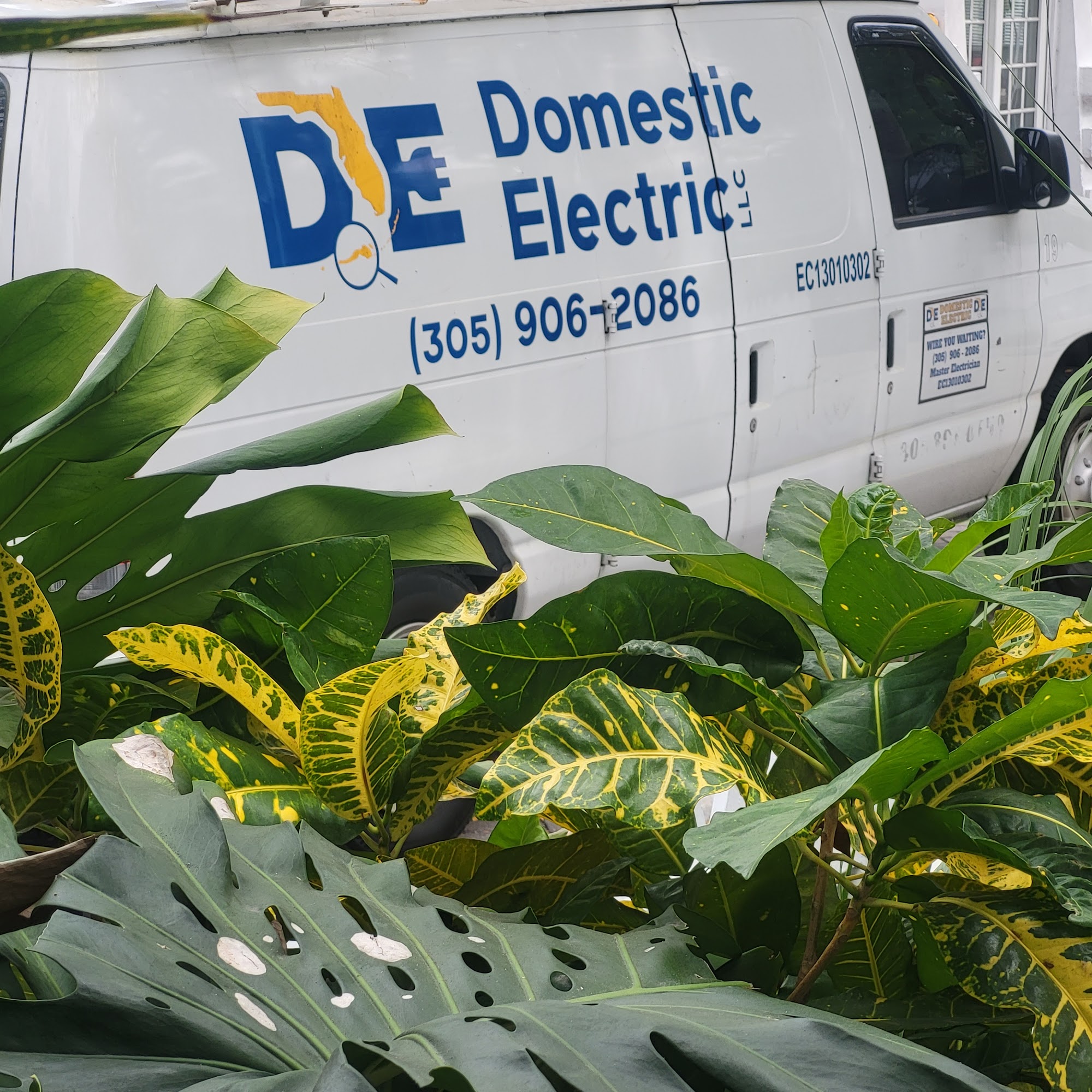 Domestic Electric LLC