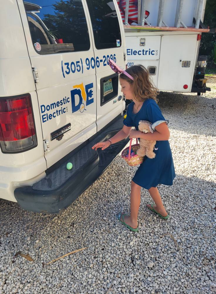 Domestic Electric LLC