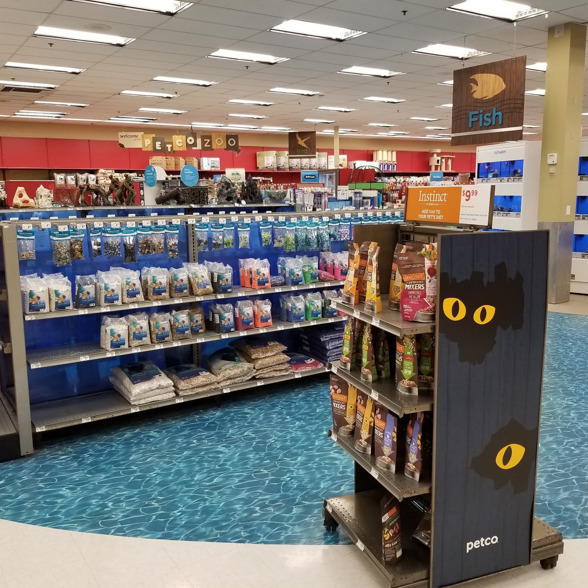 Petco Dog Training Boca Raton