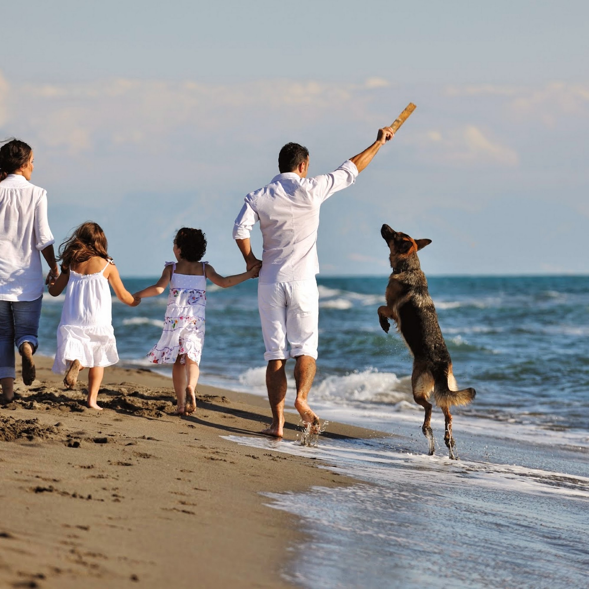 West Boca Veterinary Center Boca Raton