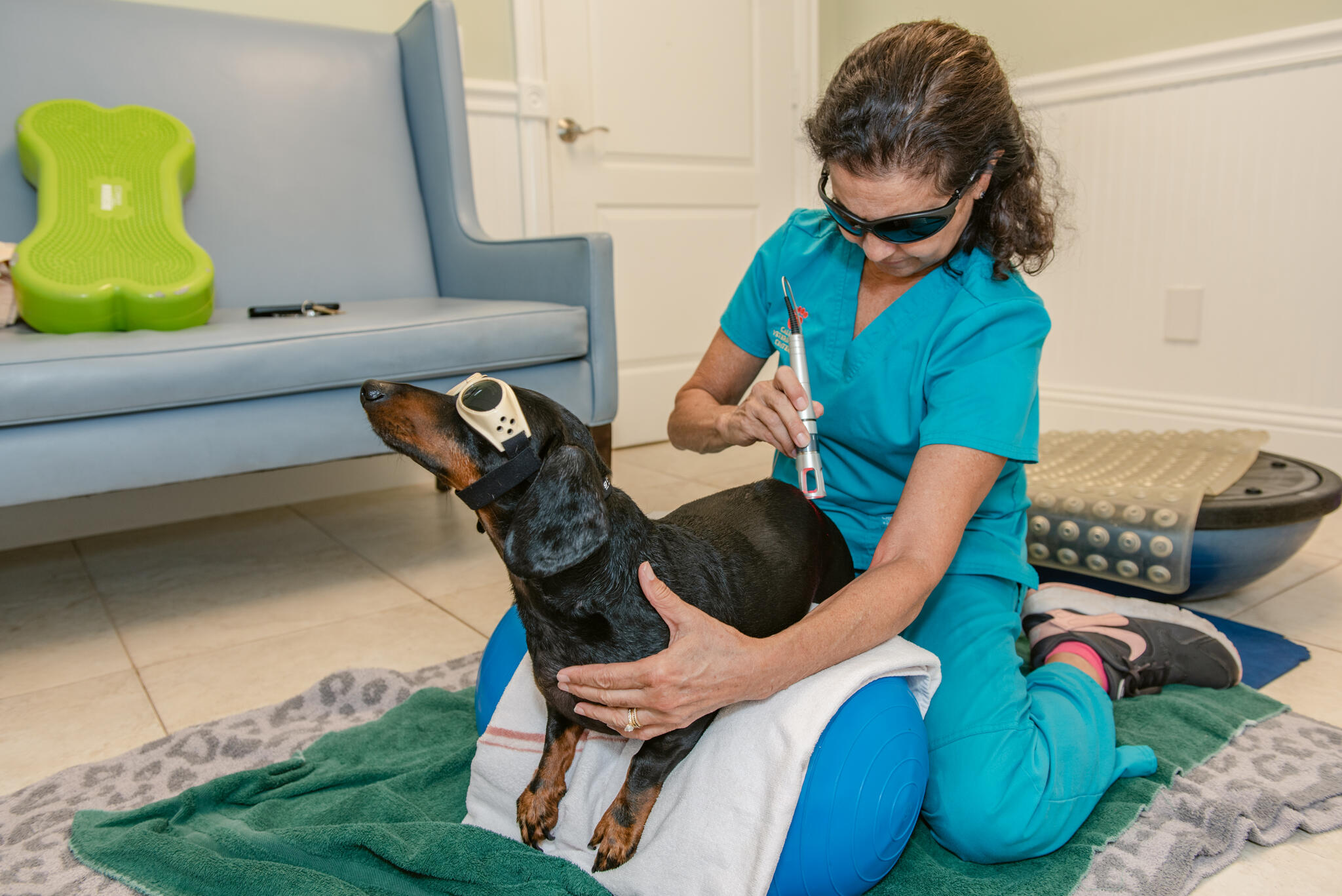 Calusa Veterinary Center: Krawitz Anthony DVM Boca Raton