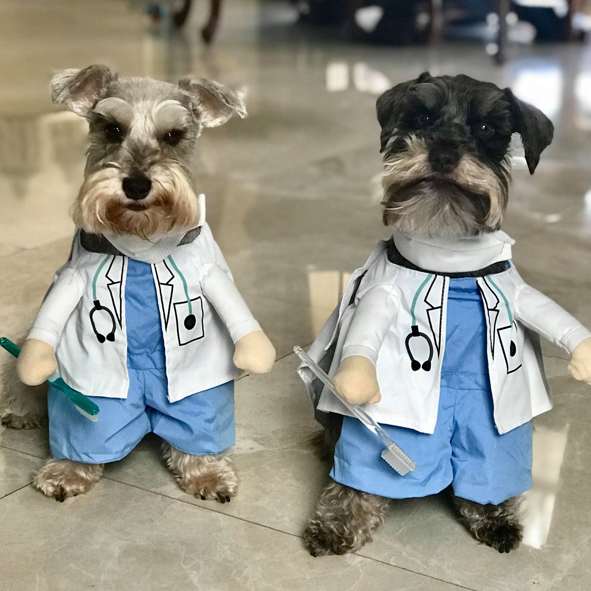 TLC Animal Hospital Boca Raton