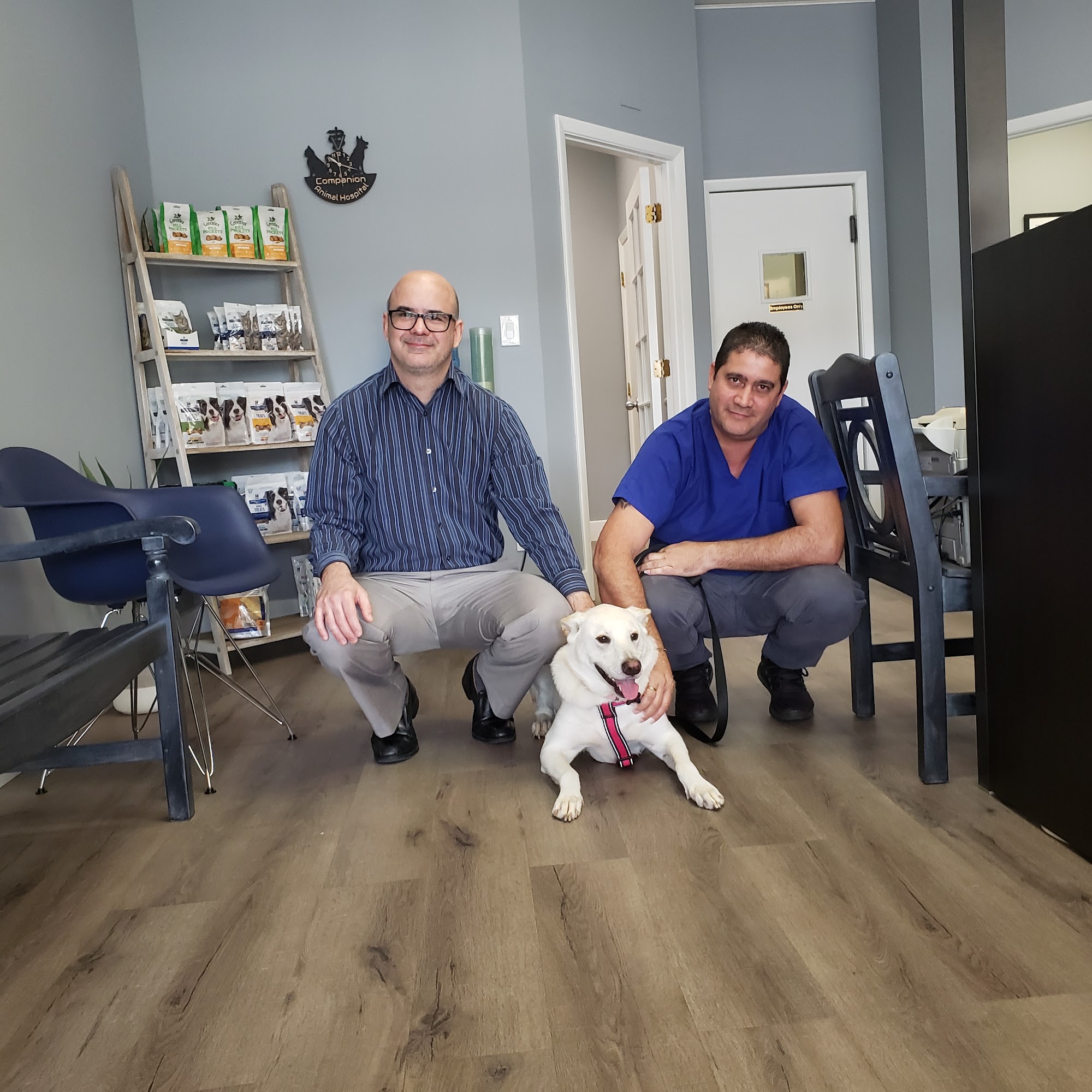 Companion Animal Hospital at Logger's Run Boca Raton