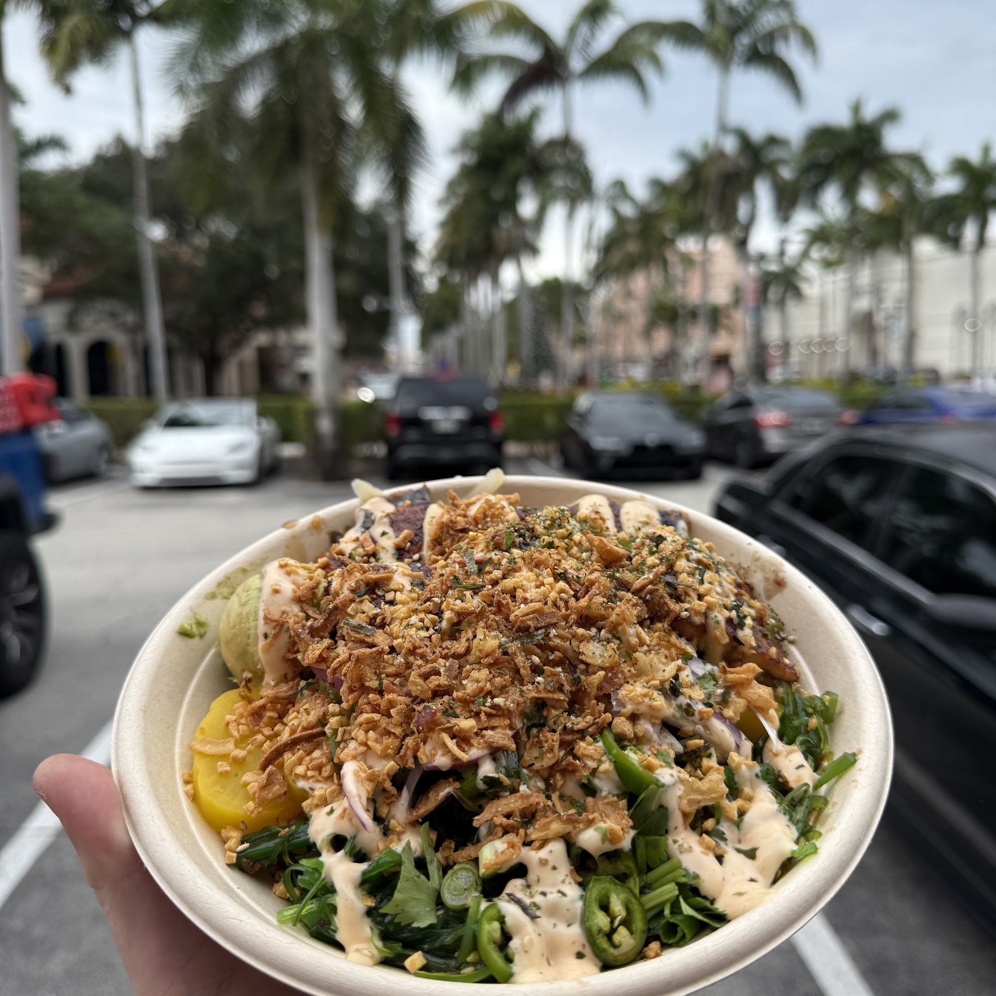 Poke Jay Boca Raton