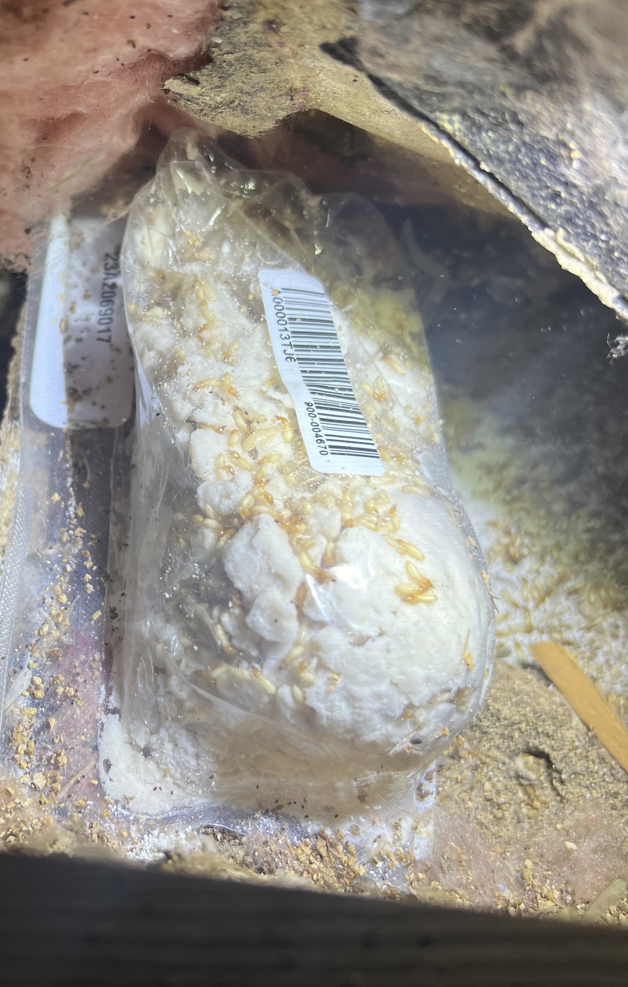 Terminate Termite & Pest Control Inc.