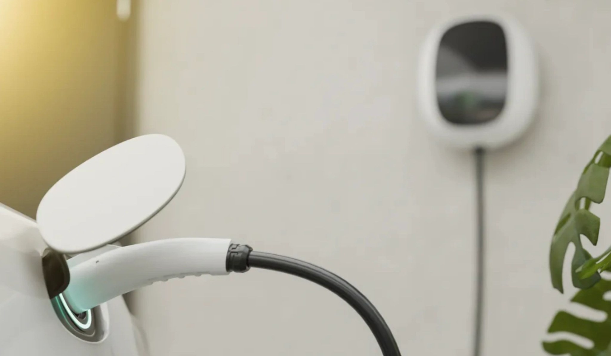 Boca Electric Inc 4751 Dixie Hwy, Boca Raton Florida 33431