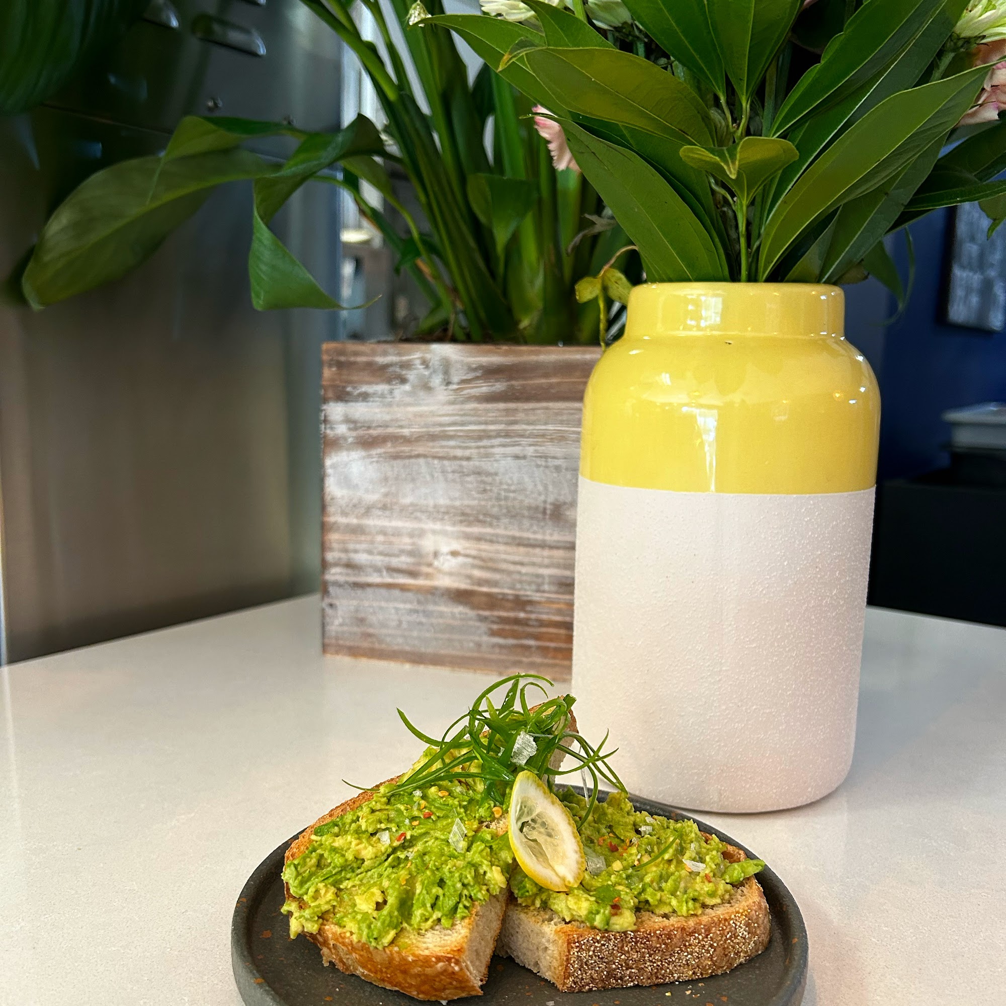 VI Coffee Bar Boca Raton