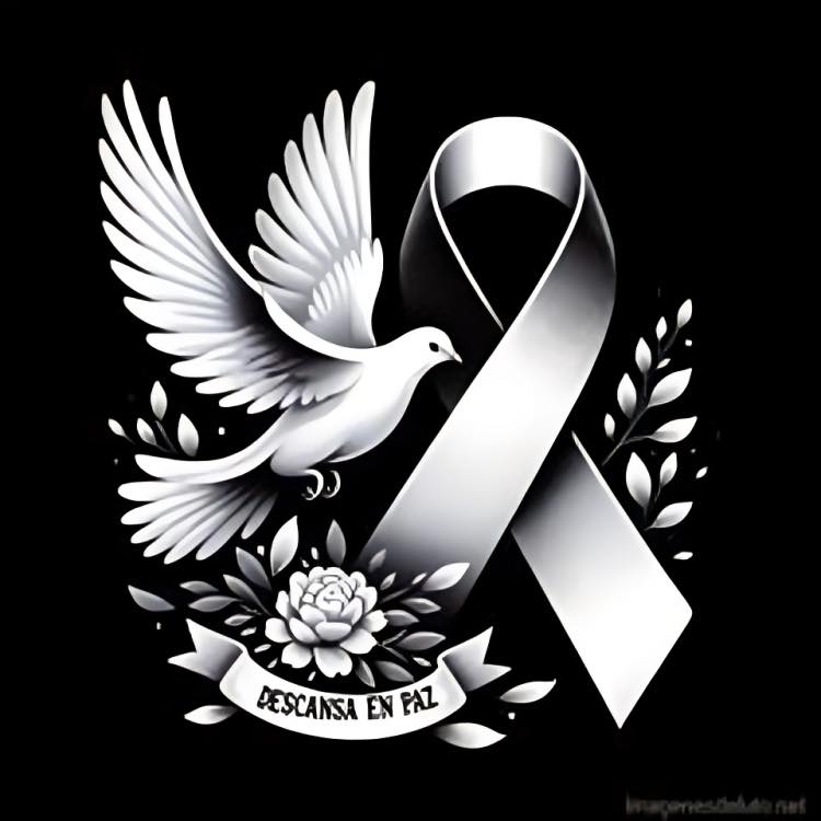 Andreia D'Avila Grooming Boca Raton