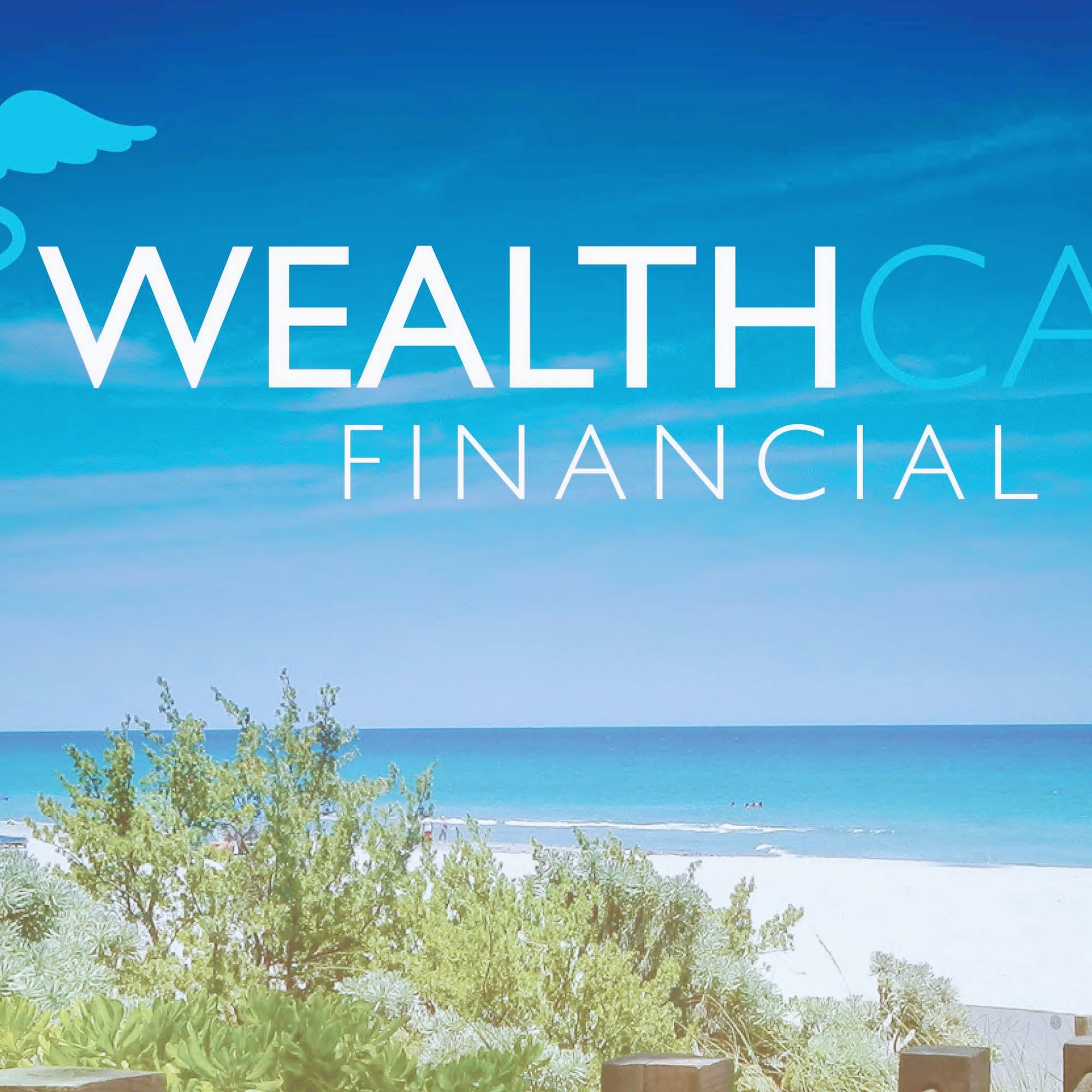 Wealthcare Financial