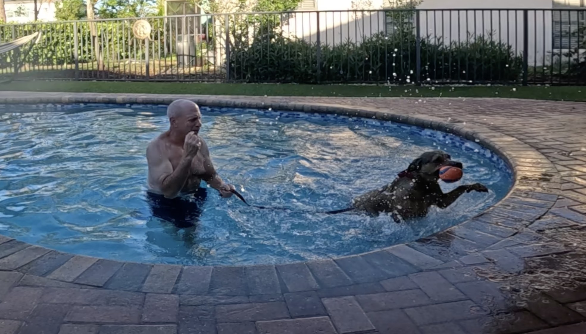 Dog Training Boca Raton - Matt Welch Boca Raton