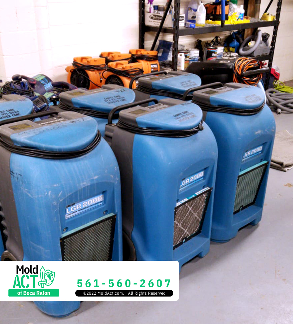 Mold Act of Boca Raton