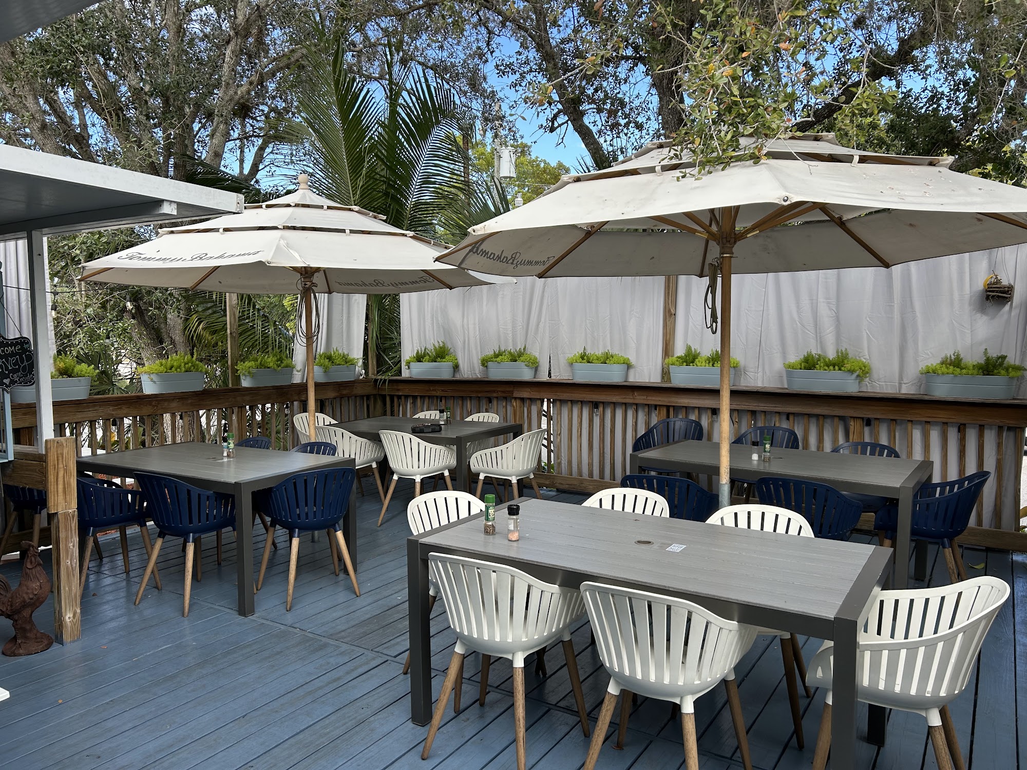 Survey Cafe Bonita Springs