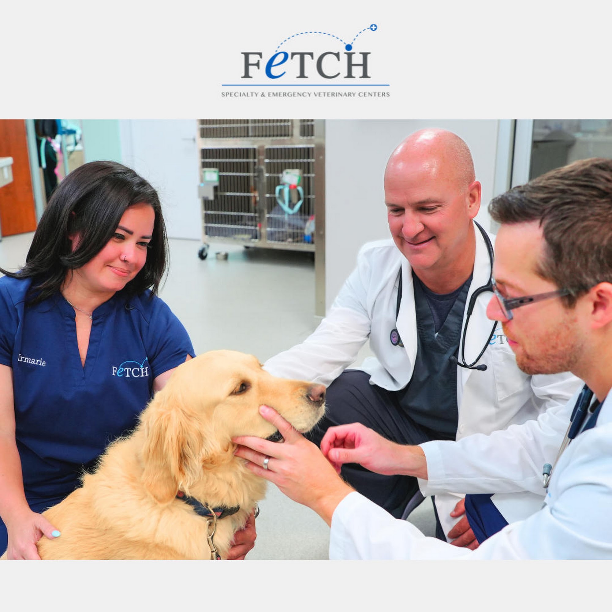 Fetch Specialty & Emergency Veterinary Centers - Bonita Springs Bonita Springs