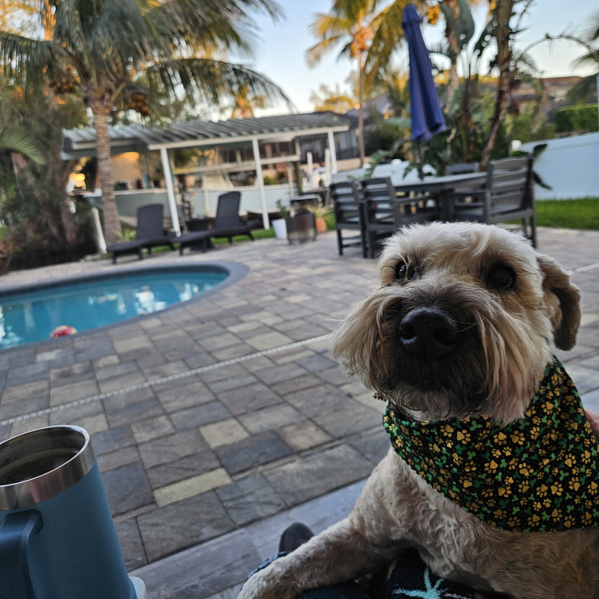 Happy Tails Pet Salon Bonita Springs