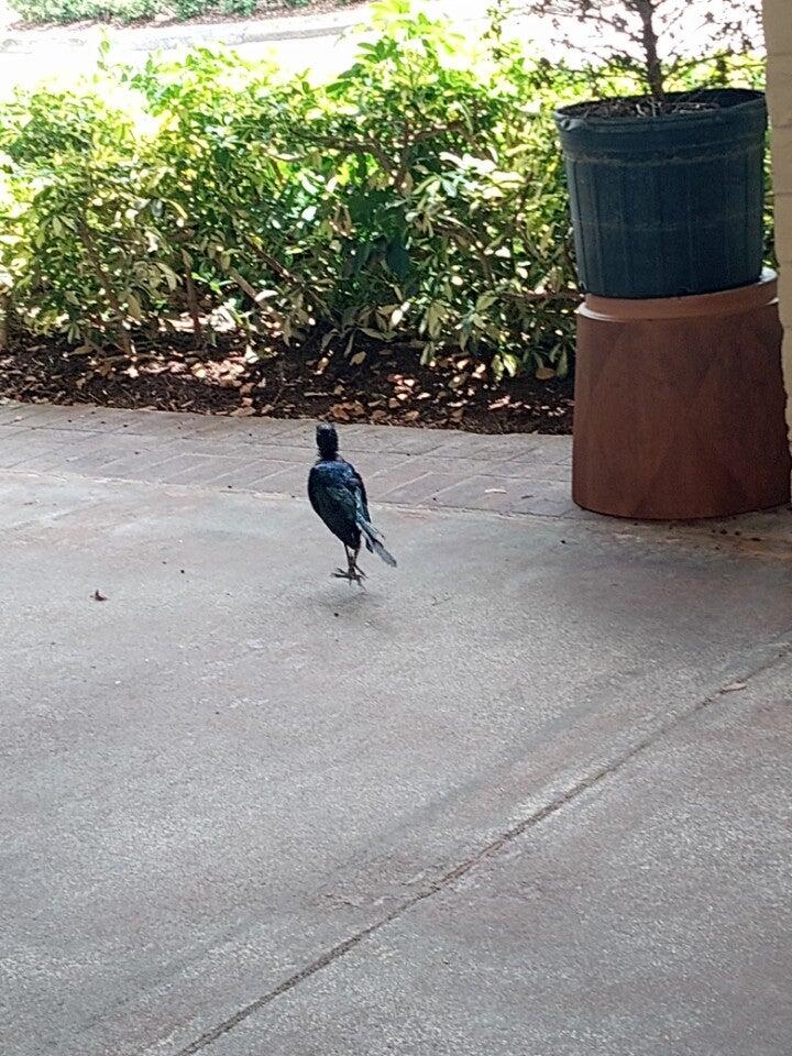 Photo credit: nextdoor