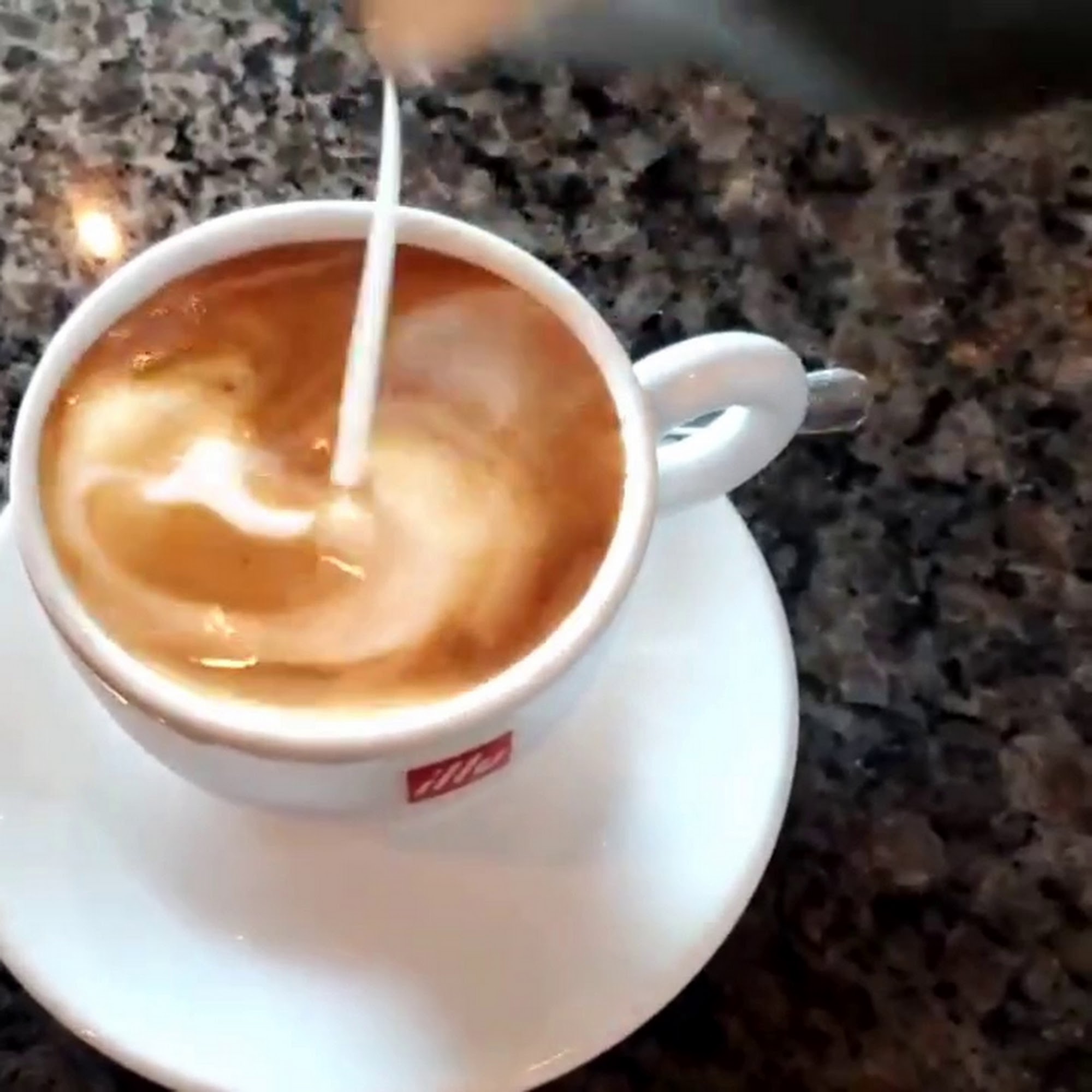 Marina Café Boynton Boynton Beach