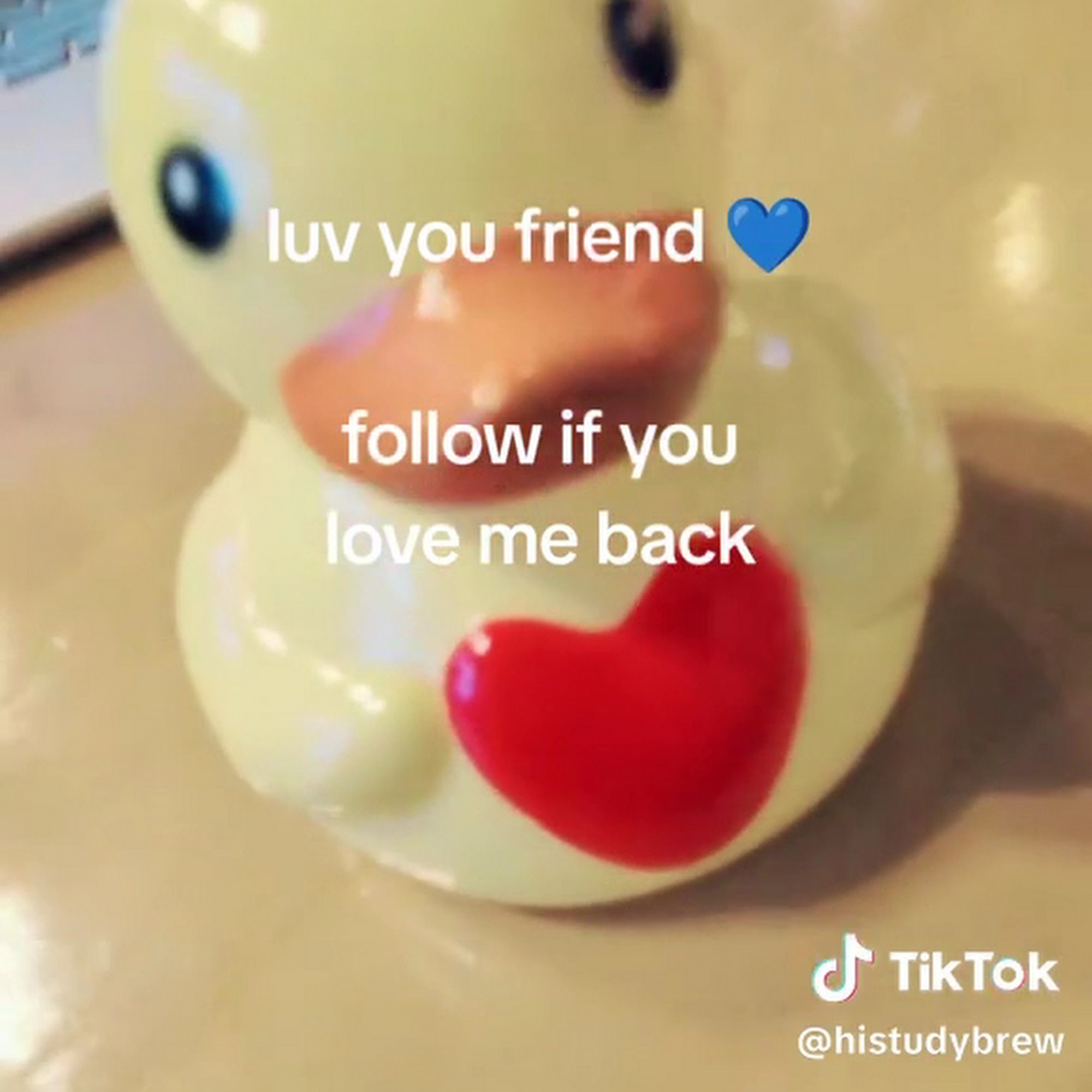 Common Grounds Brew & Roastery Boynton Beach