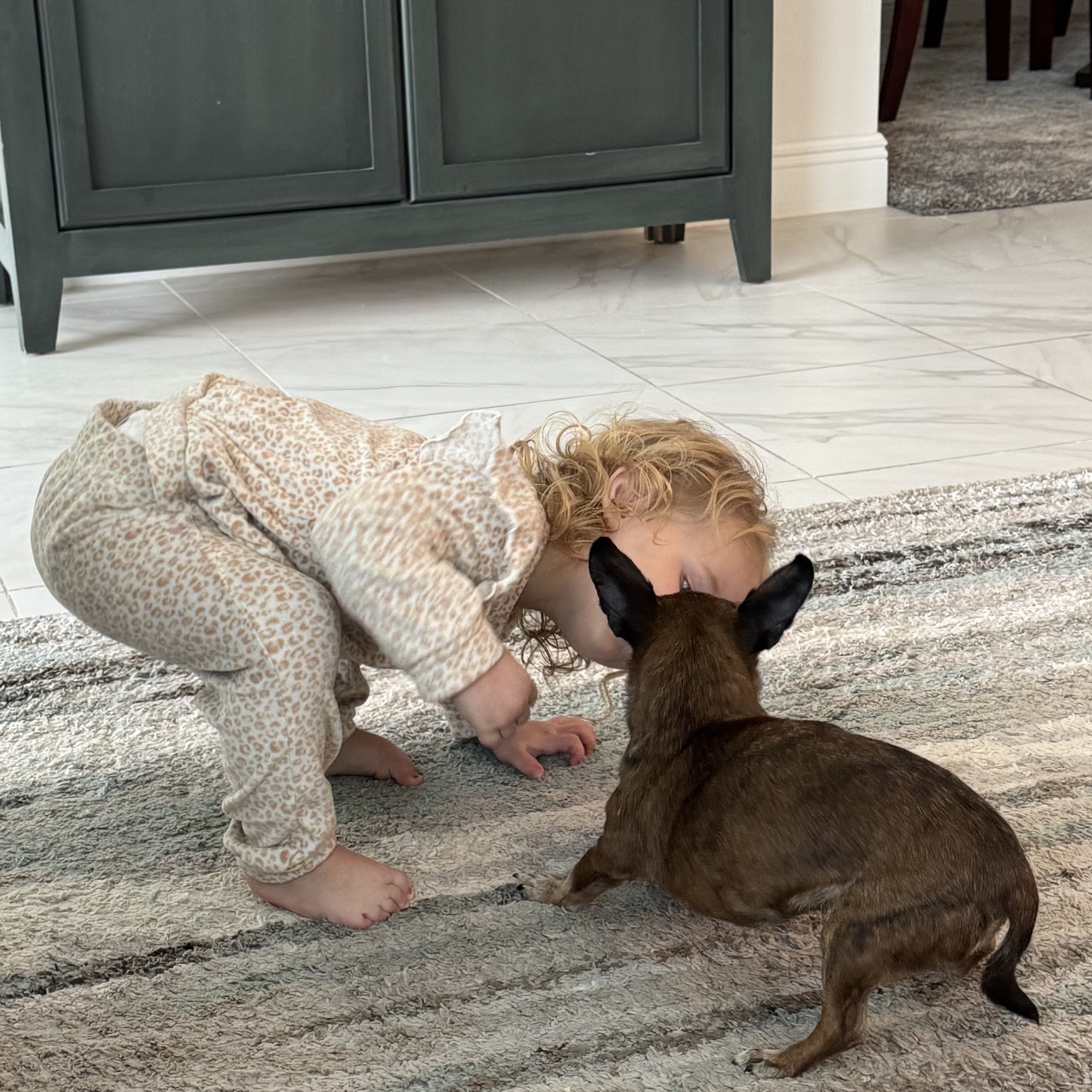 Palma Sola Animal Clinic Bradenton