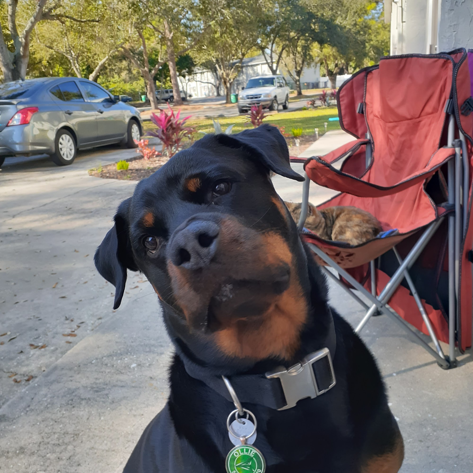 Pet First Animal Hospital Bradenton