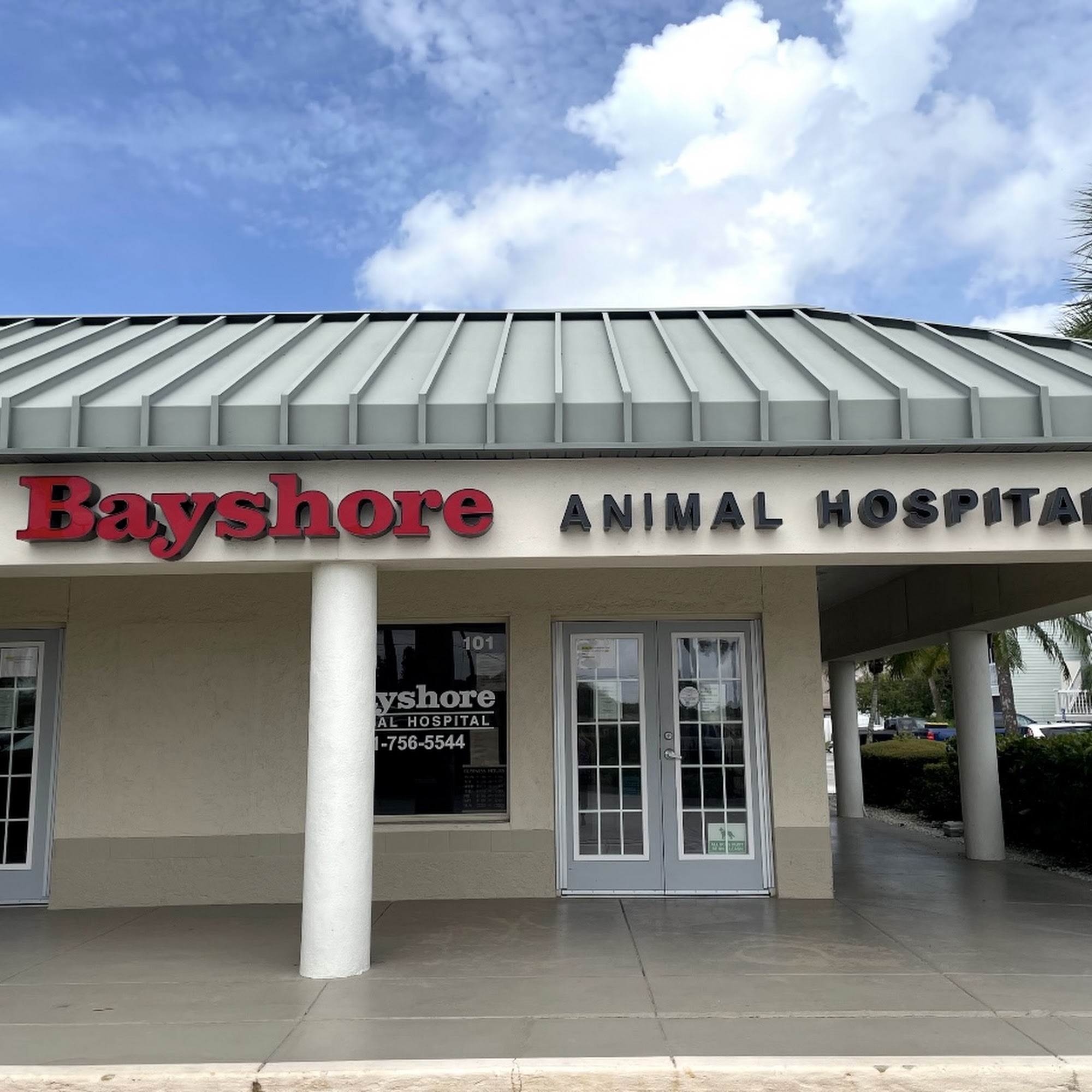Bayshore Animal Hospital Bradenton