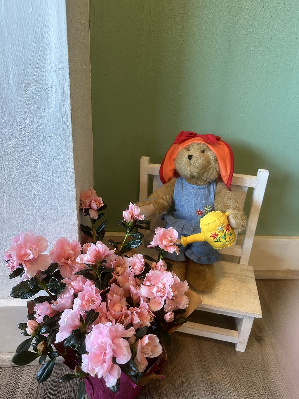 Photo credit: happycow