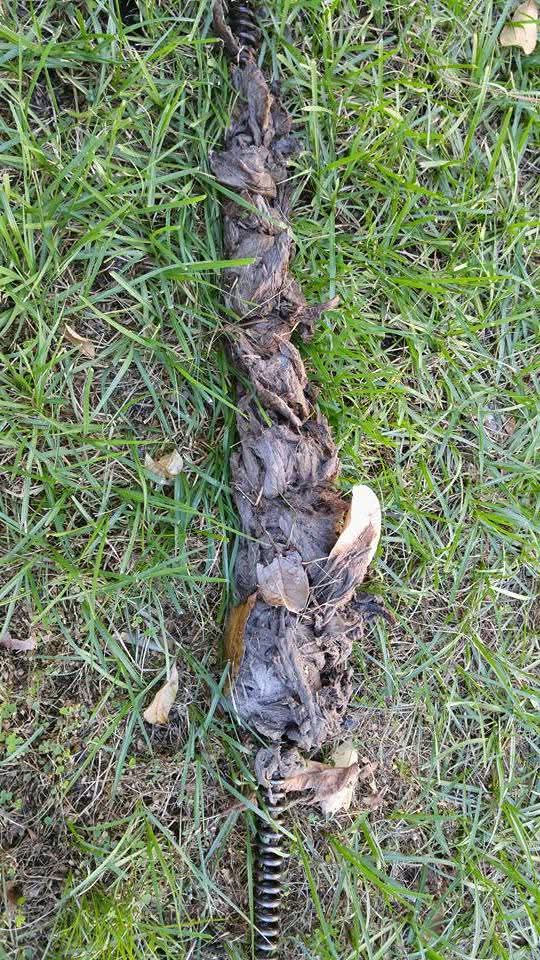 Practical Plumbing LLC