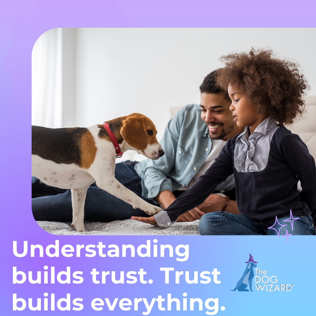 The Dog Wizard Sarasota Bradenton