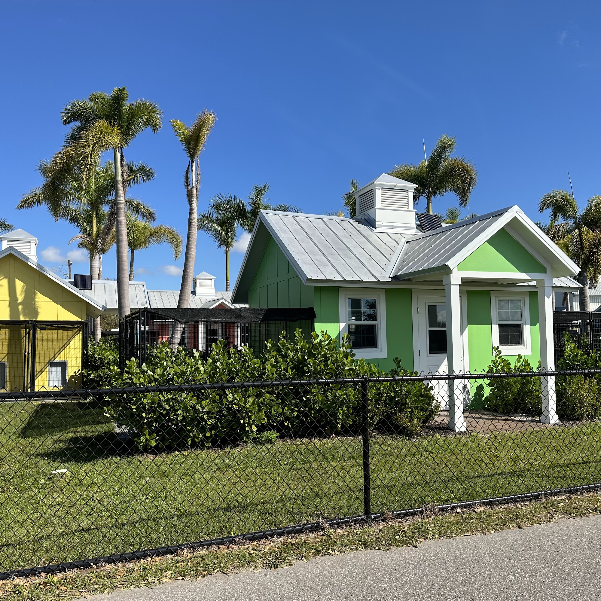 Honor Animal Rescue Bradenton