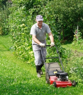 Luis Lopez Tree and Lawn Service