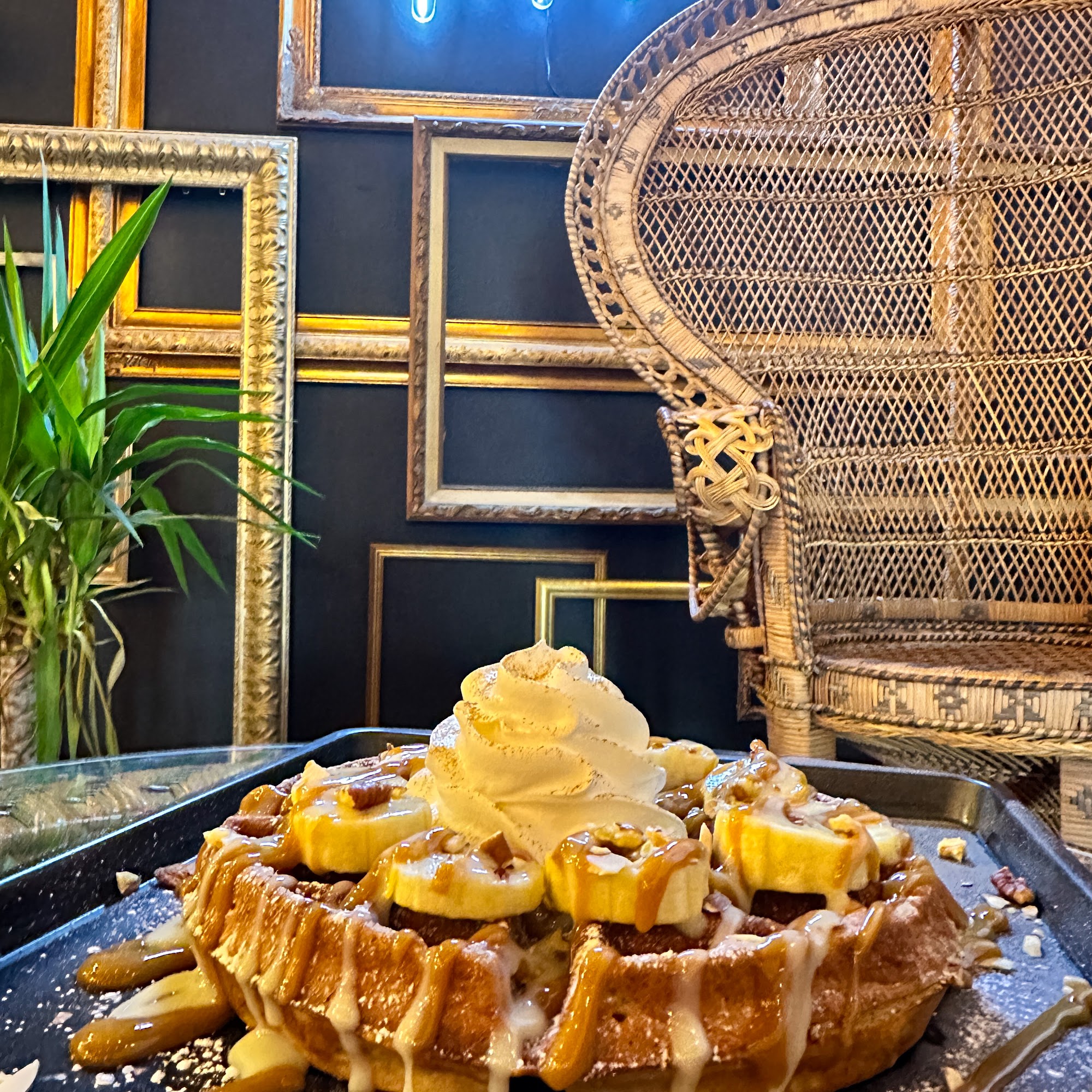 Seabreeze Nutrition Bradenton