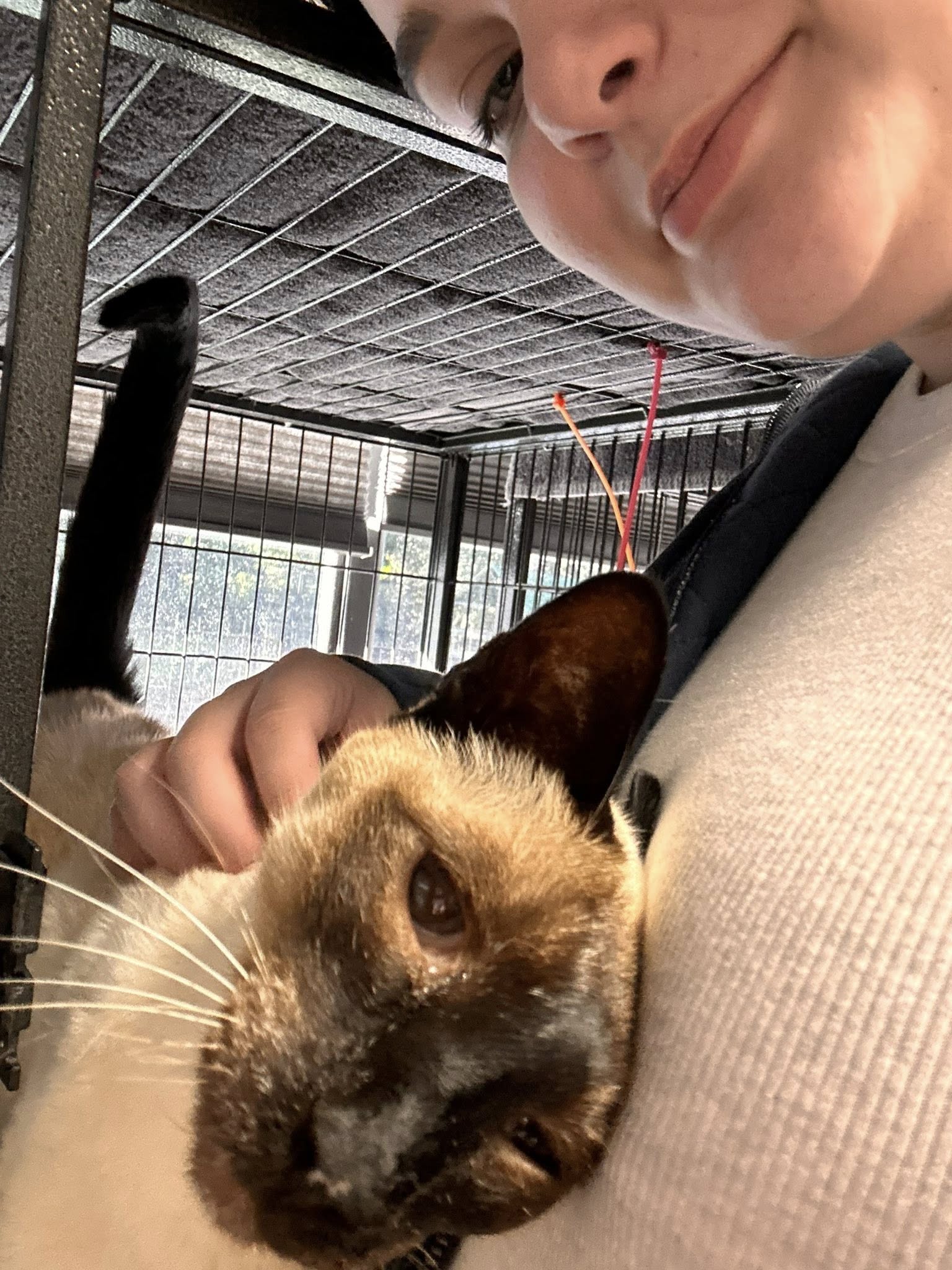 Fox Creek Pet Ranch Bradenton