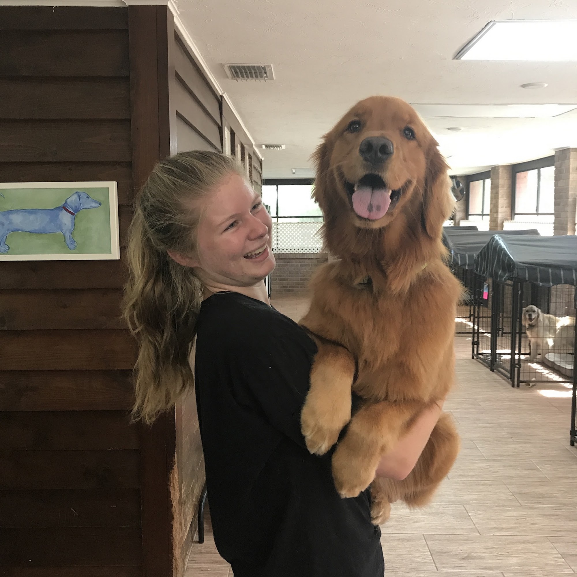 Fox Creek Pet Ranch Bradenton