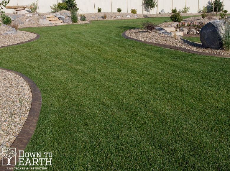 Down To Earth Landscape & Irrigation