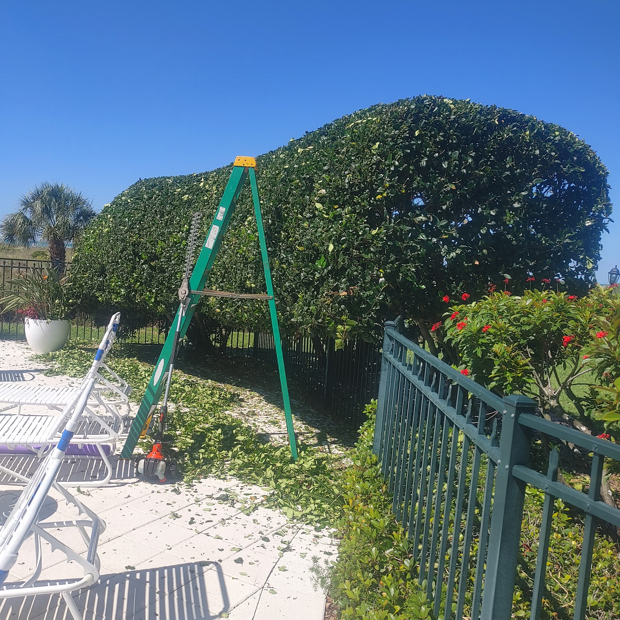 Green Group Lawn Service