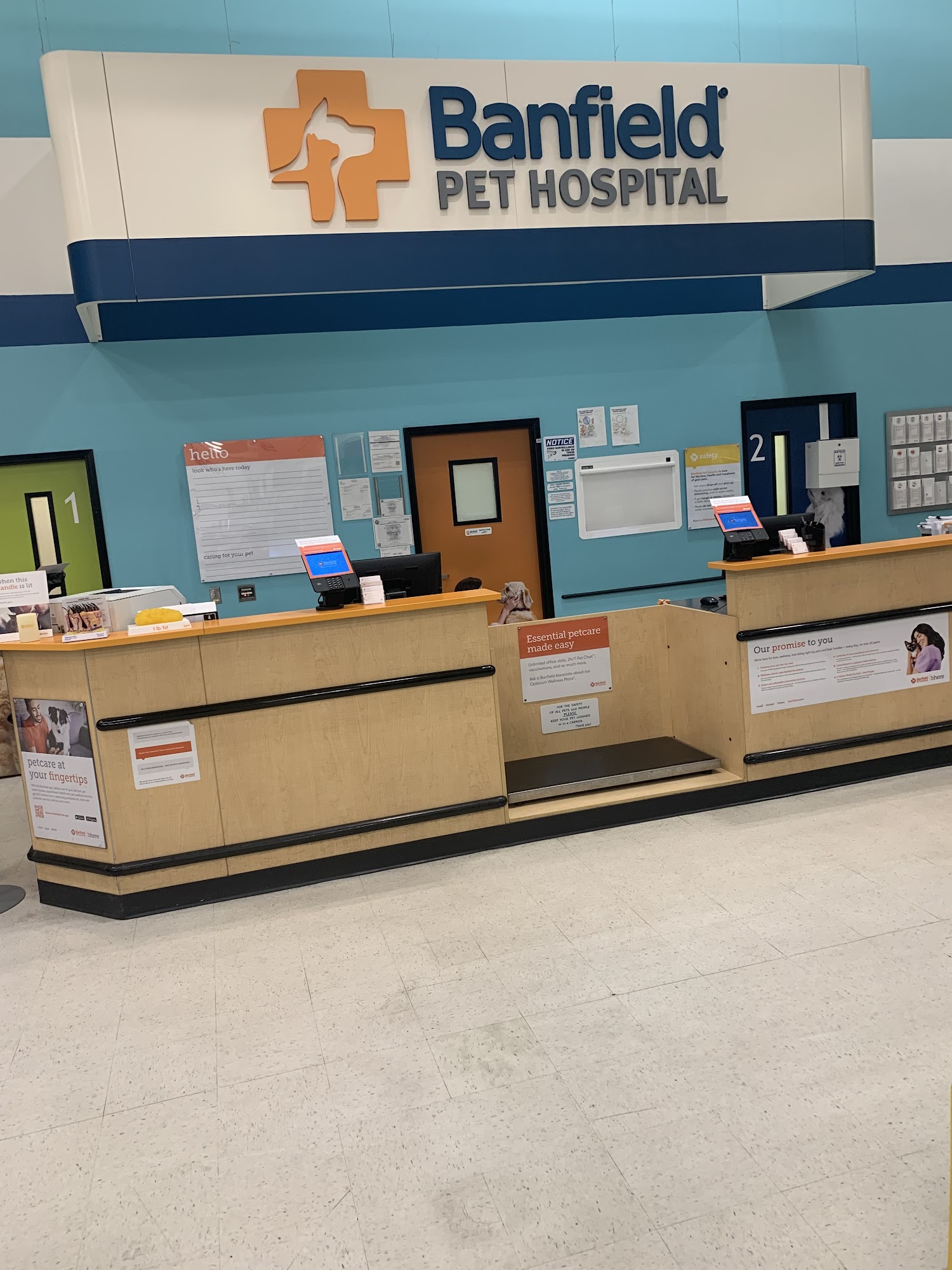 Banfield Pet Hospital Brandon