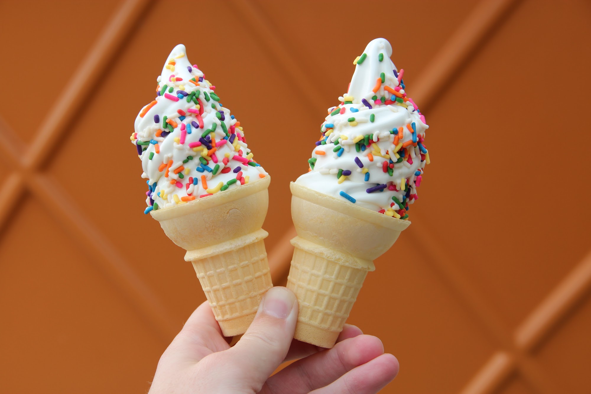 Twistee Treat Valrico Brandon