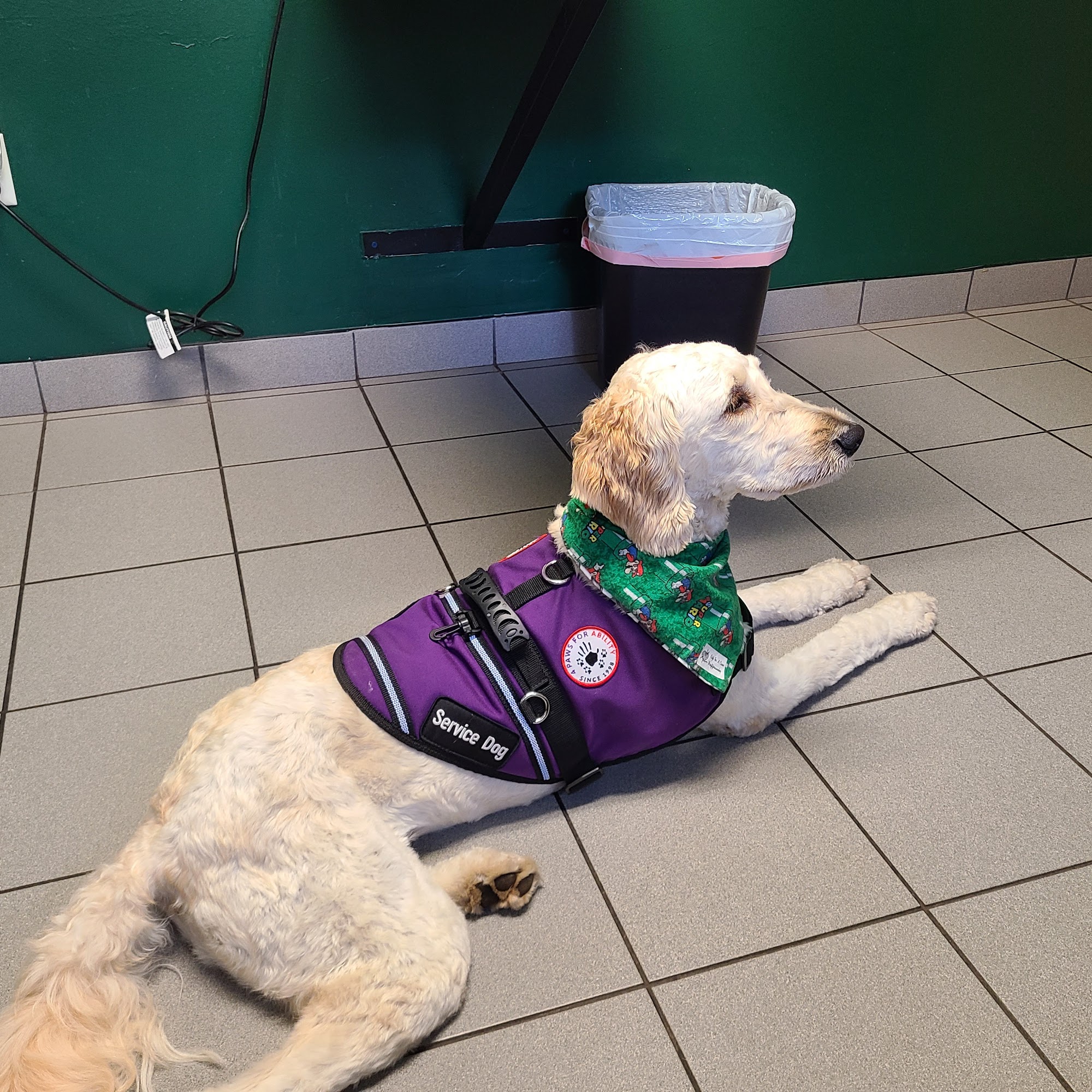 Animal Clinic of Brandon Brandon