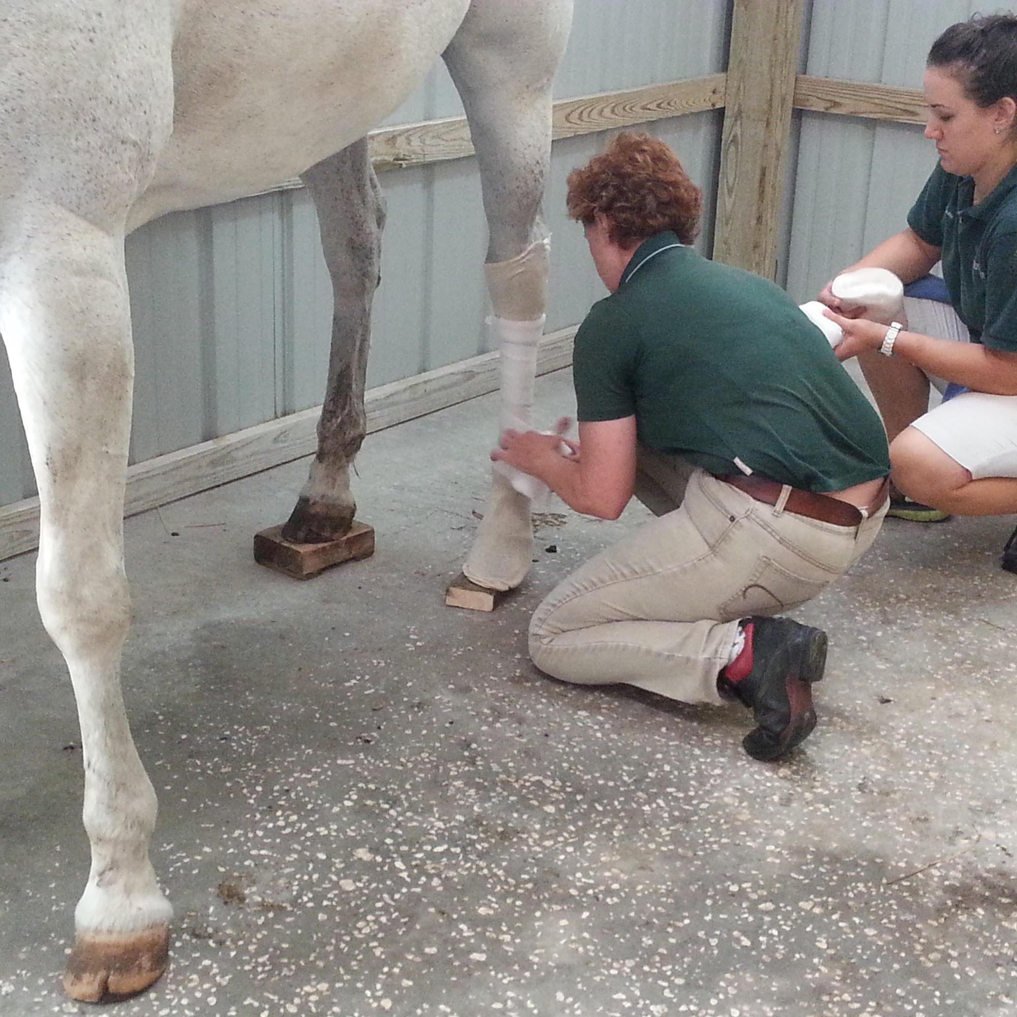 Surgi-Care Center For Horses Brandon