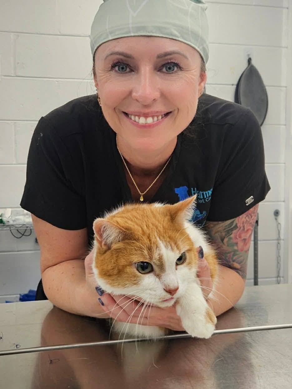 Harmony Vet Care of Brandon Brandon