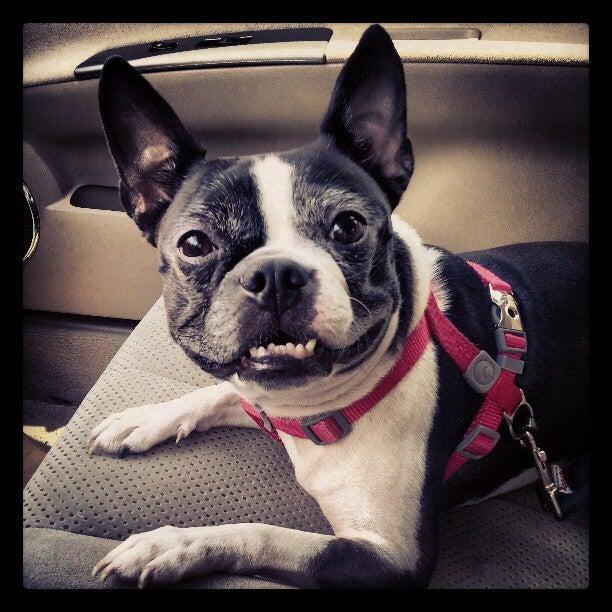 Photo credit: nextdoor