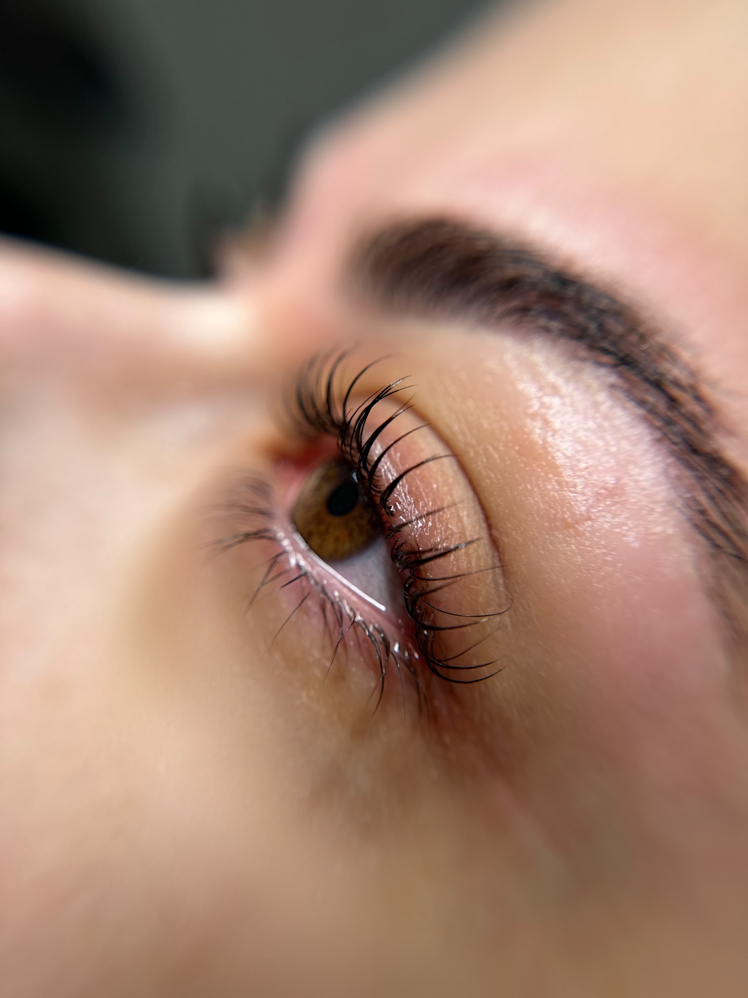 Lashaholic Beauty Bar LLC- LASH EXTENSIONS- BROW LAMINATIONS- LASH LIFTS - HENNA & MORE 1402 Scotch Pine Dr, Brandon Florida 33511