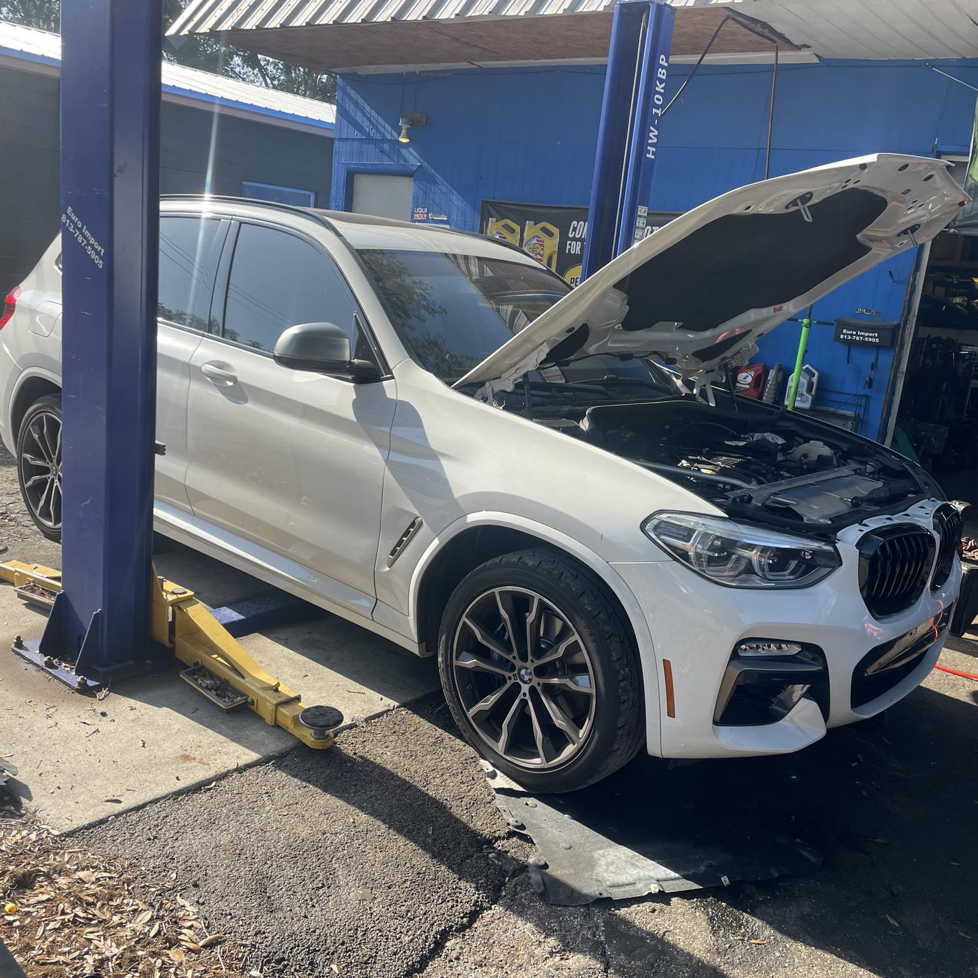 Acevedo Euro Import Brandon