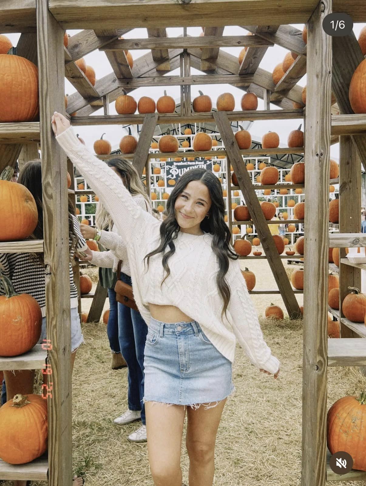 The Farm Stand Branford