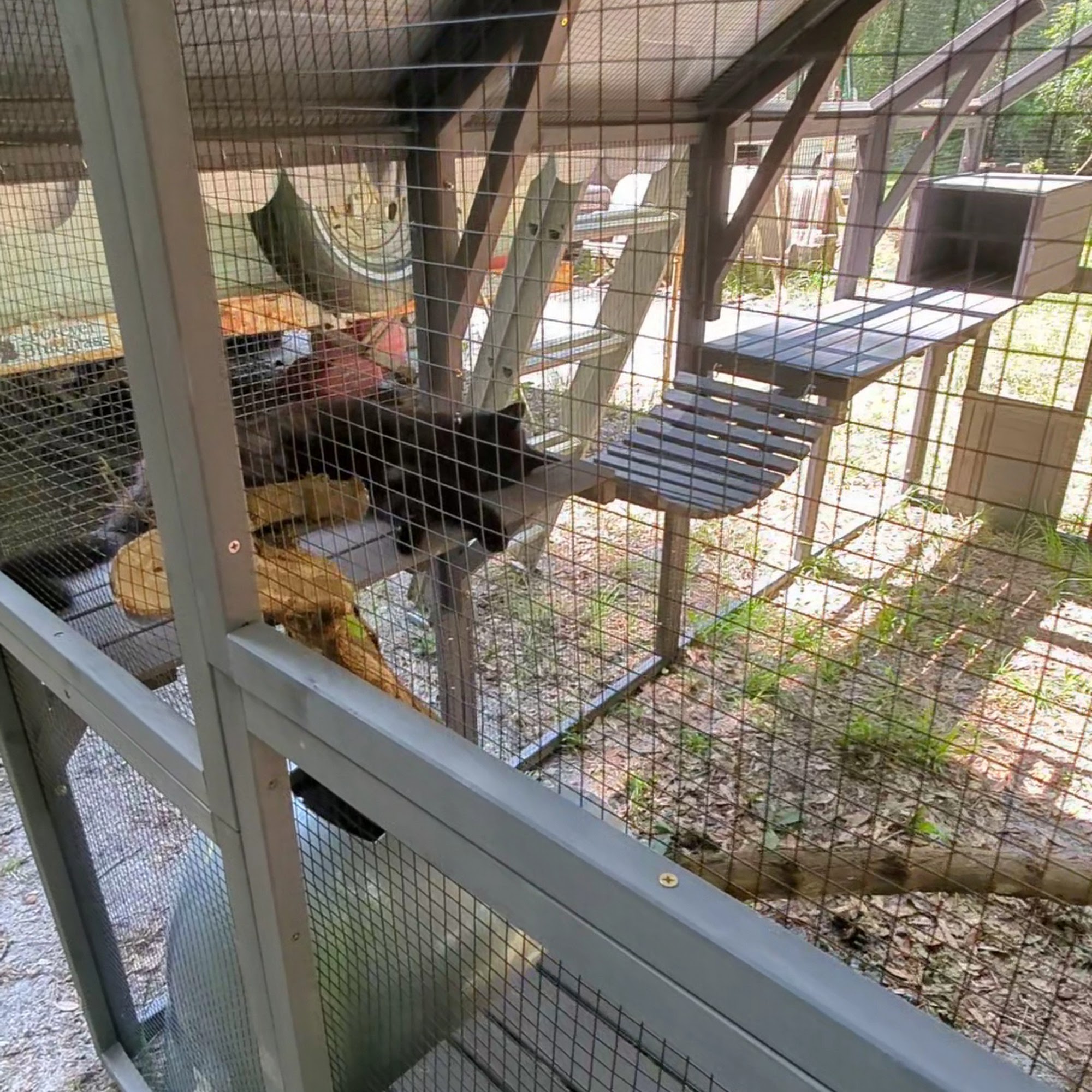 Tractor Supply Co. Branford