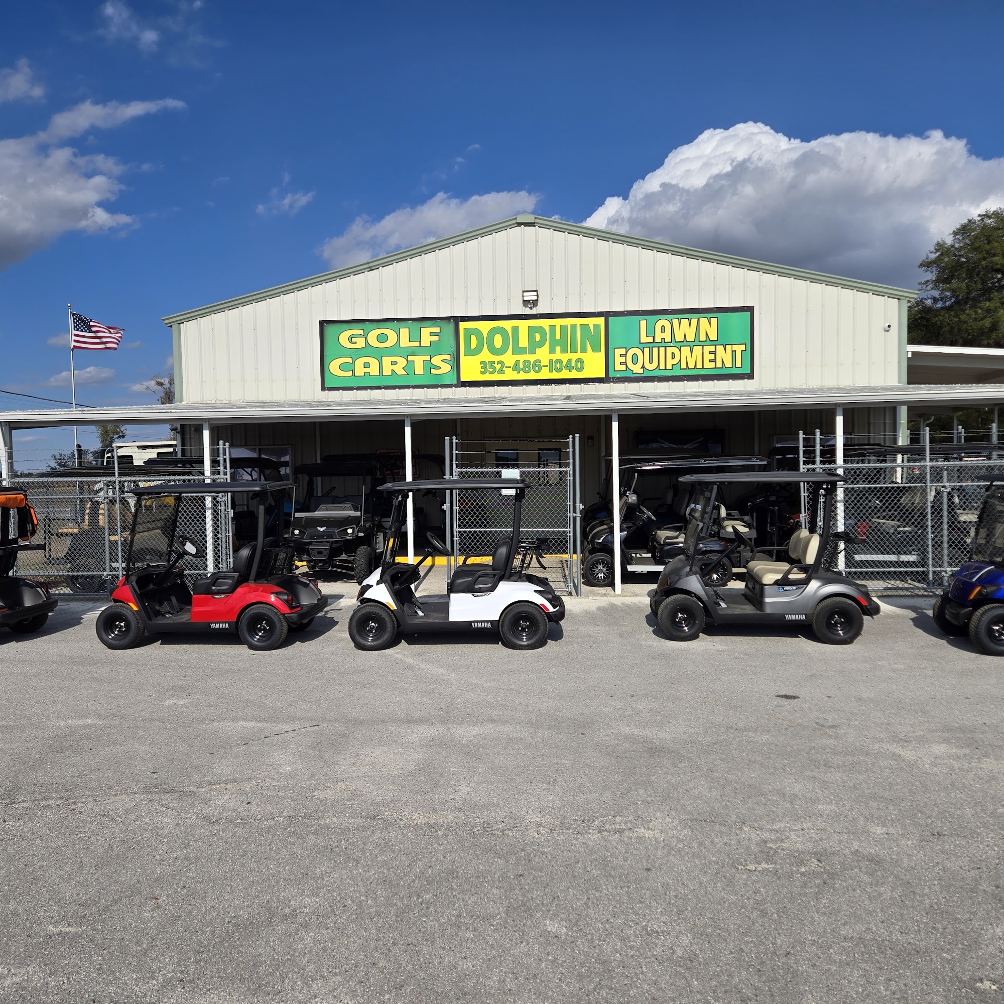 Dolphin Golf Carts Bronson