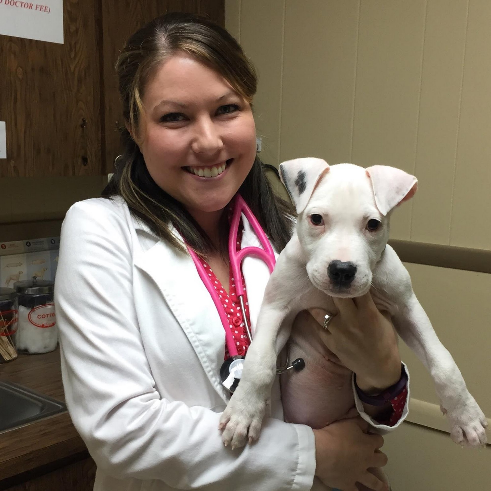 Brooksville Veterinary Clinic Brooksville