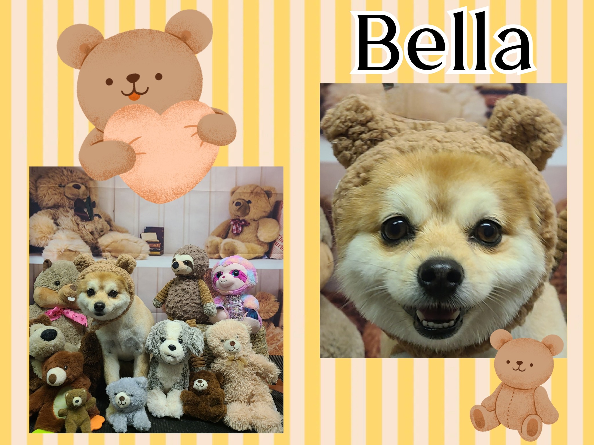 For Fours Acres Lodge Brooksville