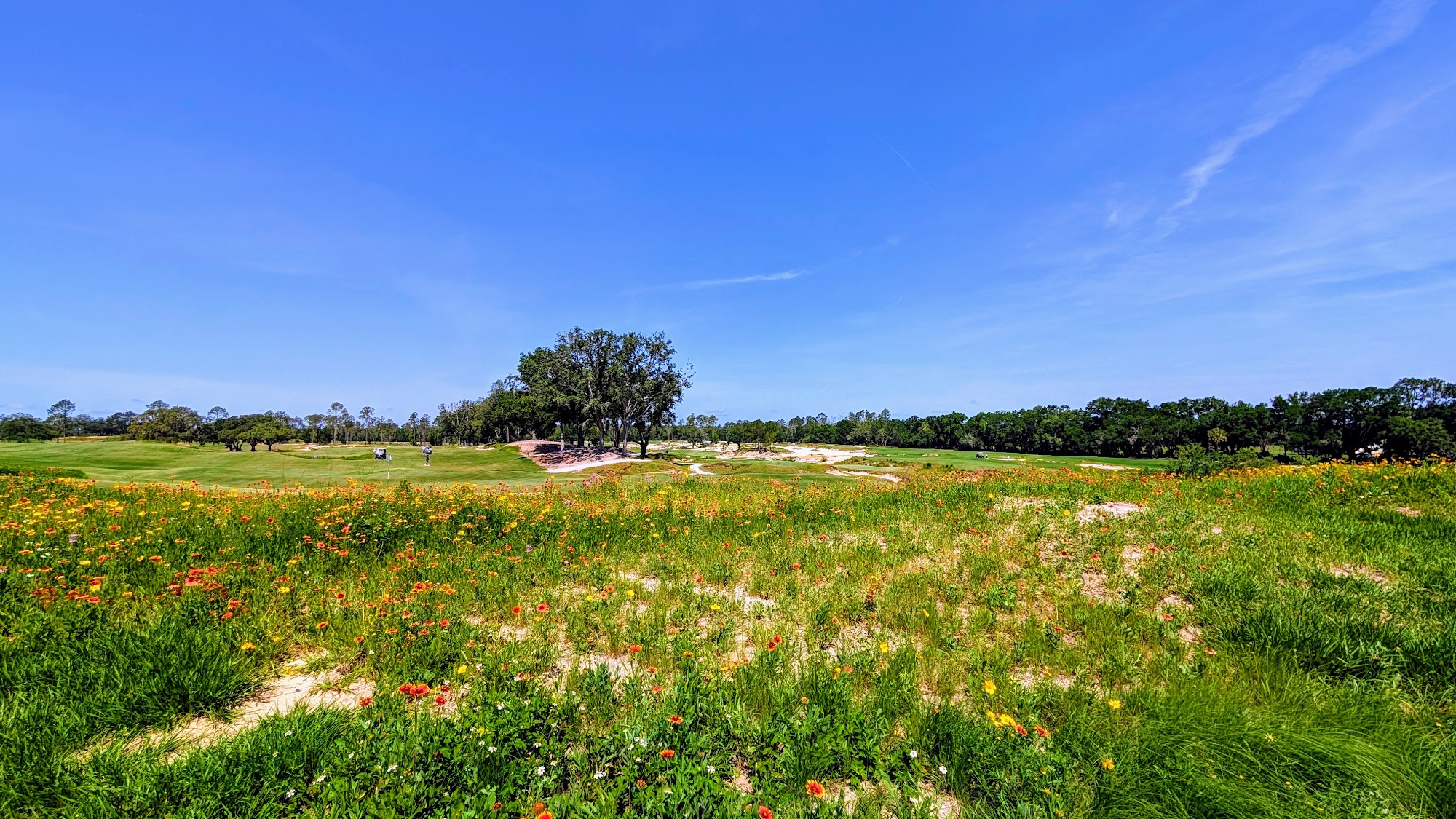 Cabot Citrus Farms Brooksville