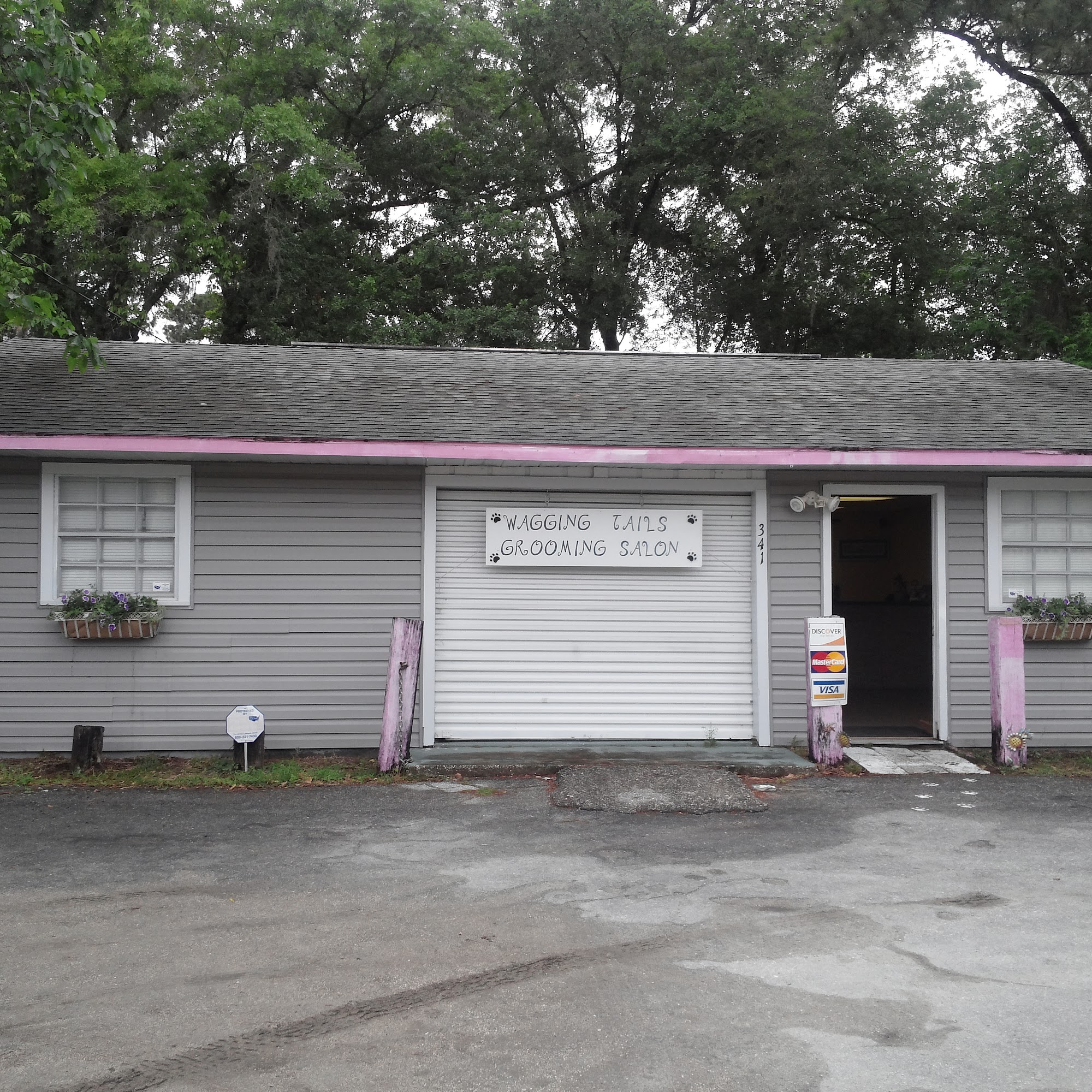 Wagging Tails Grooming 341 Ponce De Leon Blvd, Brooksville Florida 34601
