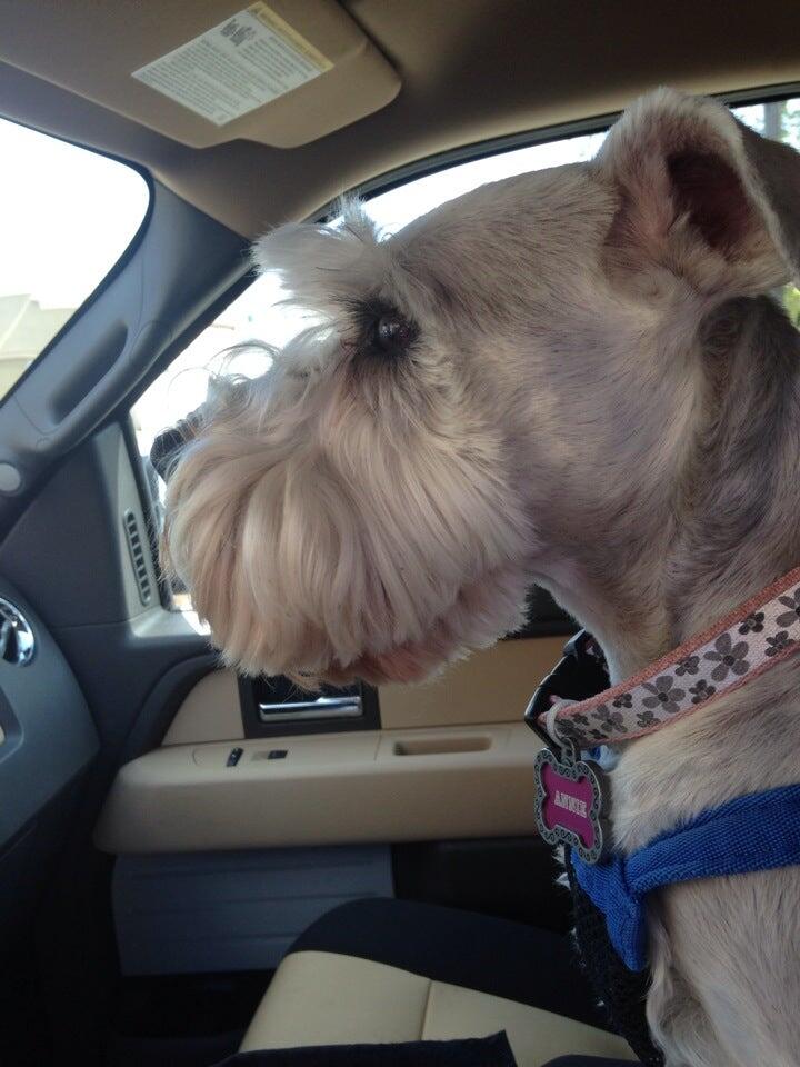 Photo credit: nextdoor